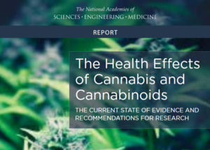 Cannabis Health Effects